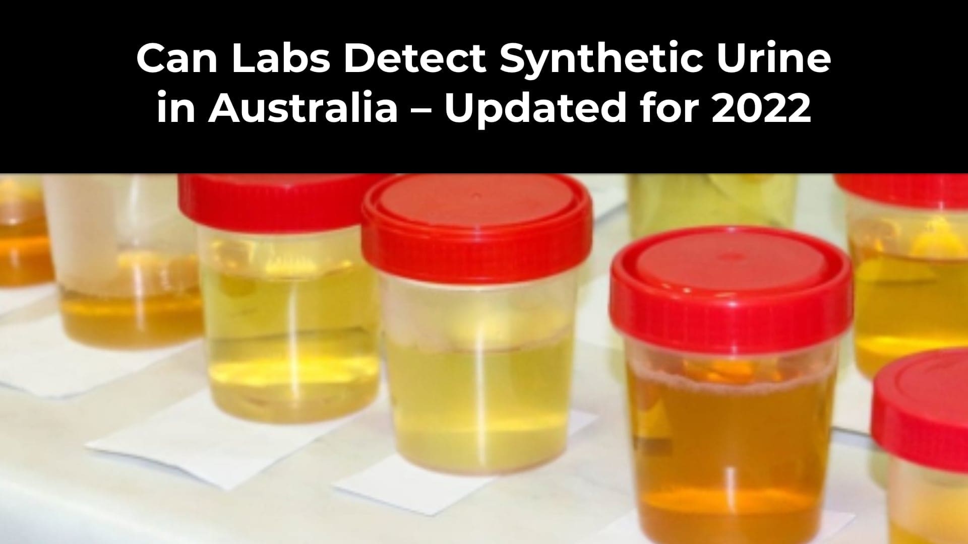 Can Labs Detect Synthetic Urine in Australia – Updated for 2022