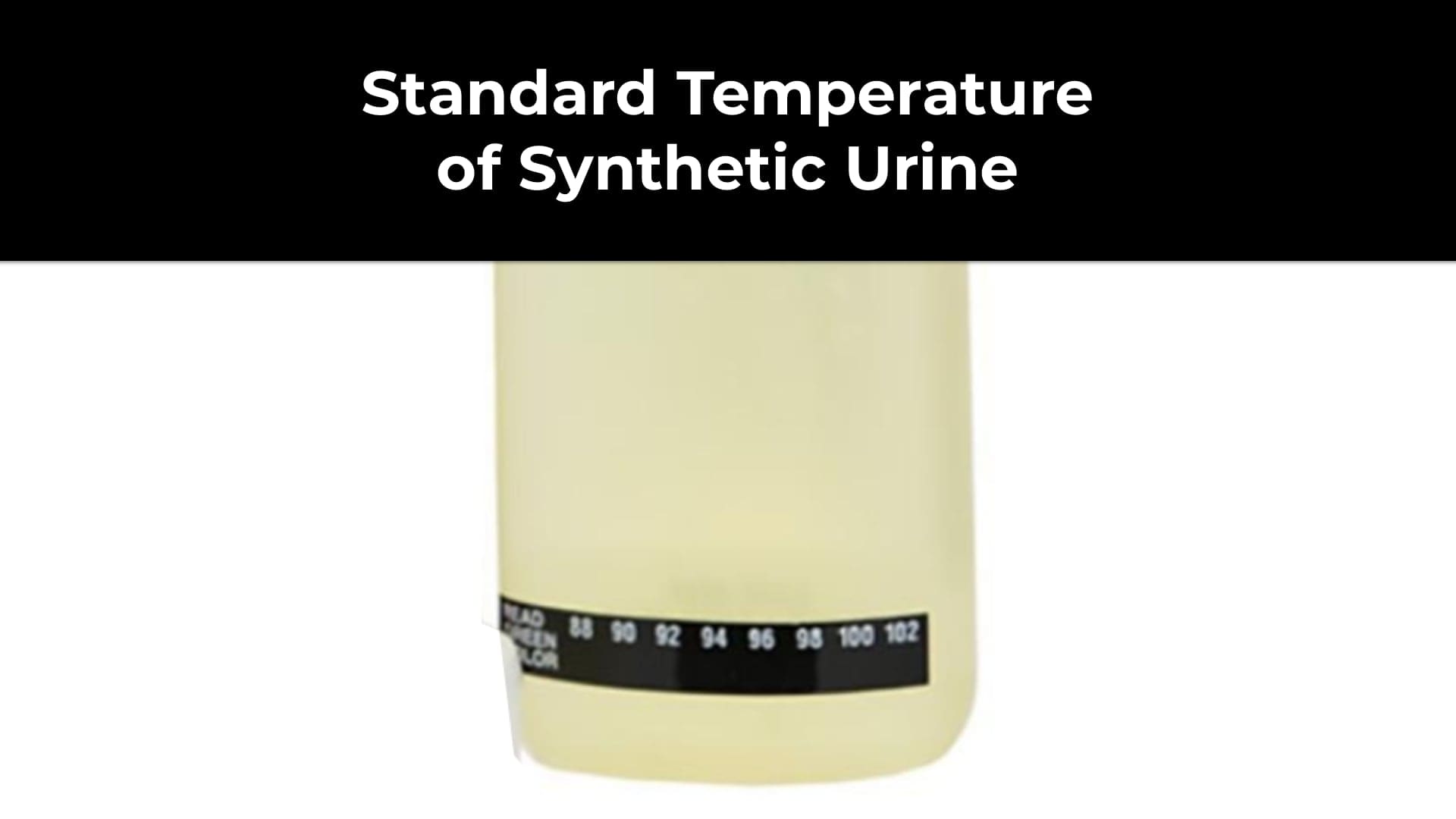 What Temperature Does Synthetic Urine Need To Be For A Test?