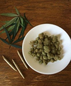 Cannabis